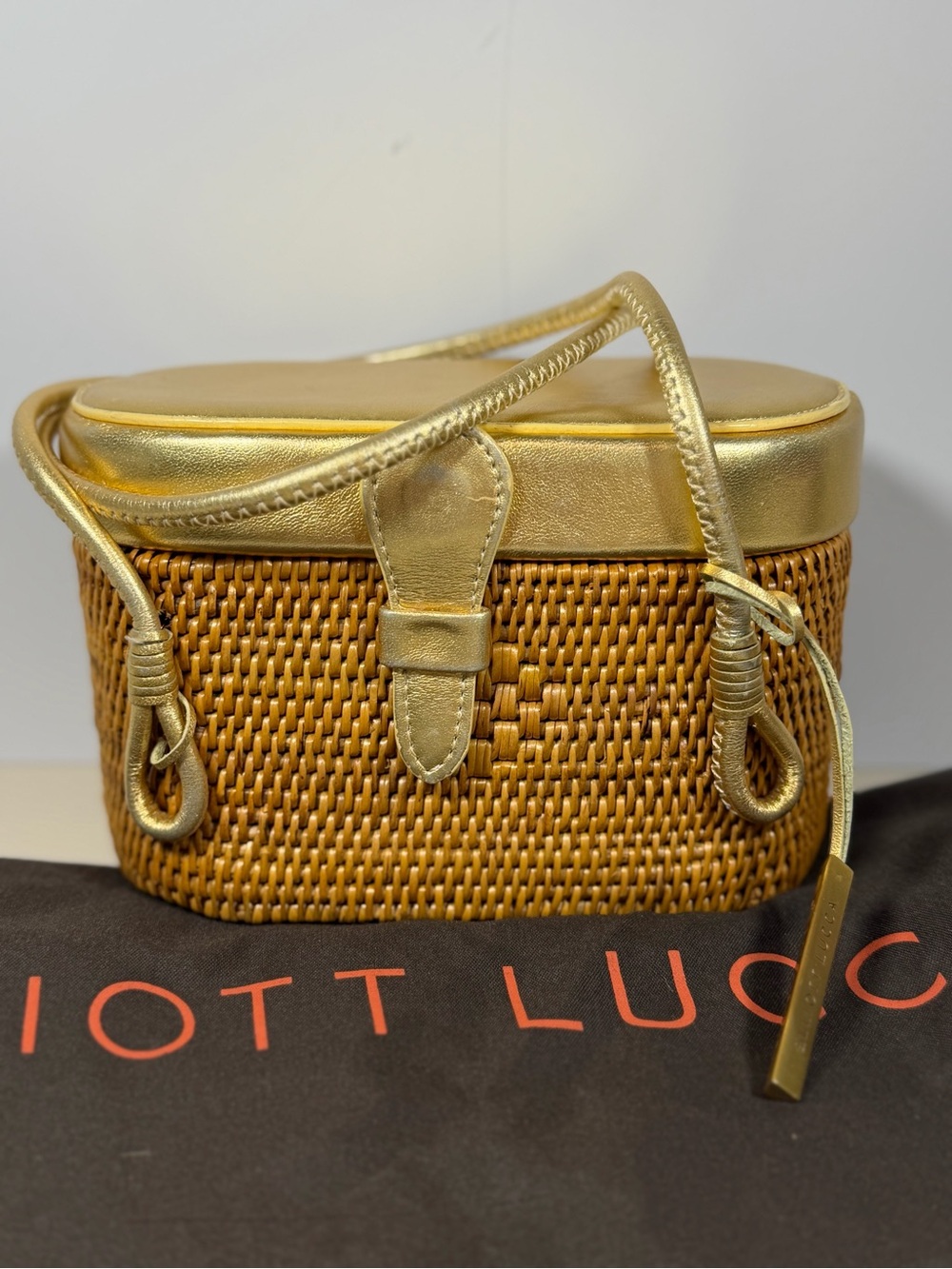 Elliott Lucca Gold and Tan Woven Mini Crossbody Basket Bag
